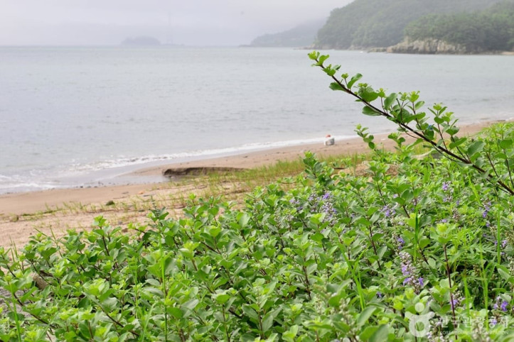 우두해변 여행 추천 - 메고지고