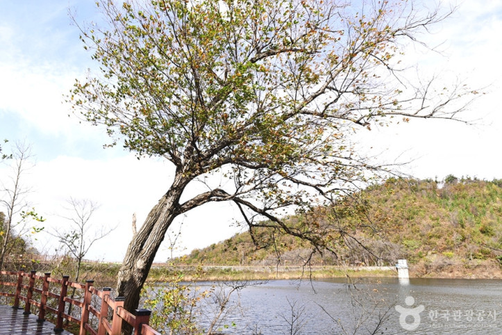 월명호수 여행 추천 - 메고지고