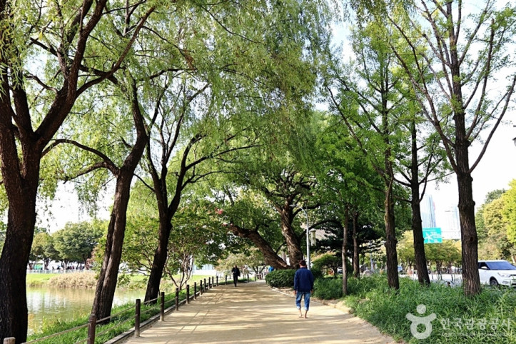 수성못상화동산 여행 추천 - 메고지고
