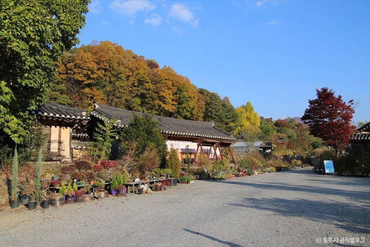 충주 최응성 고가 여행 추천 - 메고지고