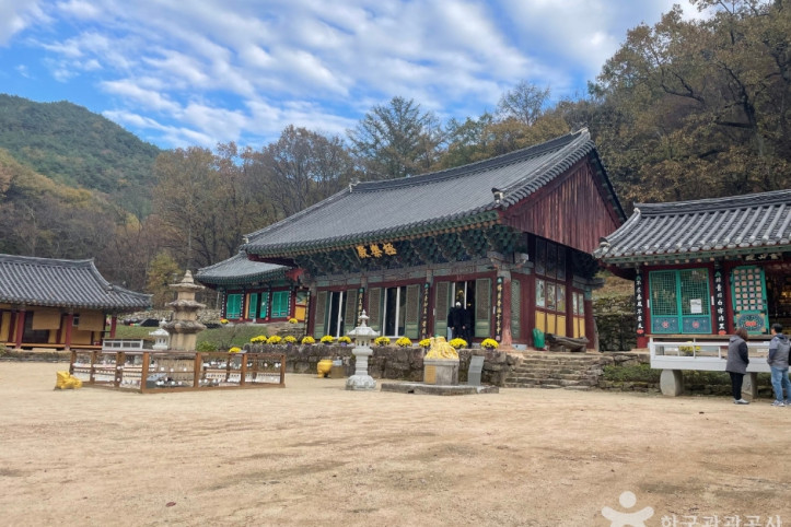 용연사(대구) 여행 추천 - 메고지고