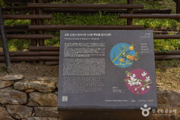 강화전적지 여행 추천 - 메고지고