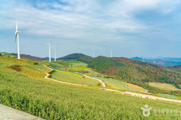 태백 구와우마을(고원자생식물원) 여행 추천 - 메고지고
