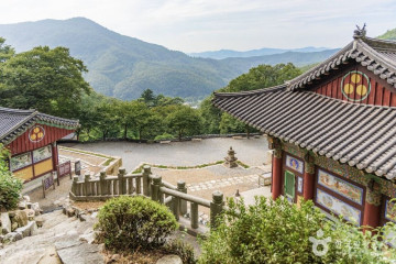 침강저류지 여행 추천 - 메고지고