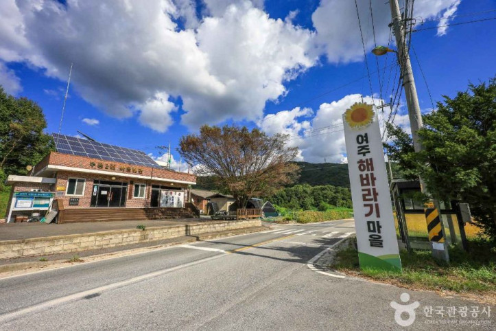 여주 해바라기마을 여행 추천 - 메고지고
