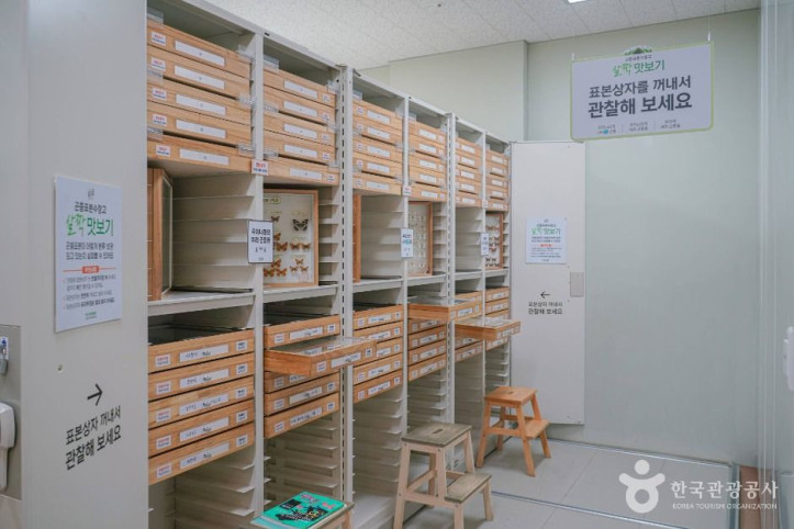 용인 곤충테마파크 여행 추천 - 메고지고