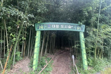 국립 용지봉 자연휴양림 여행 추천 - 메고지고