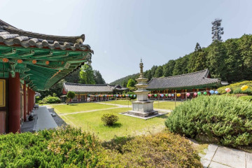 나폴리농원 여행 추천 - 메고지고