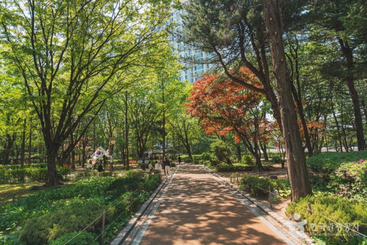 도산공원 여행 추천 - 메고지고