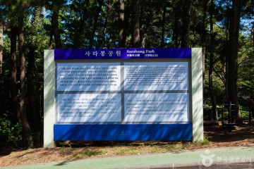 보림사(제주) 여행 추천 - 메고지고