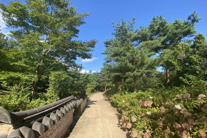 설악산 자생식물원 여행 추천 - 메고지고
