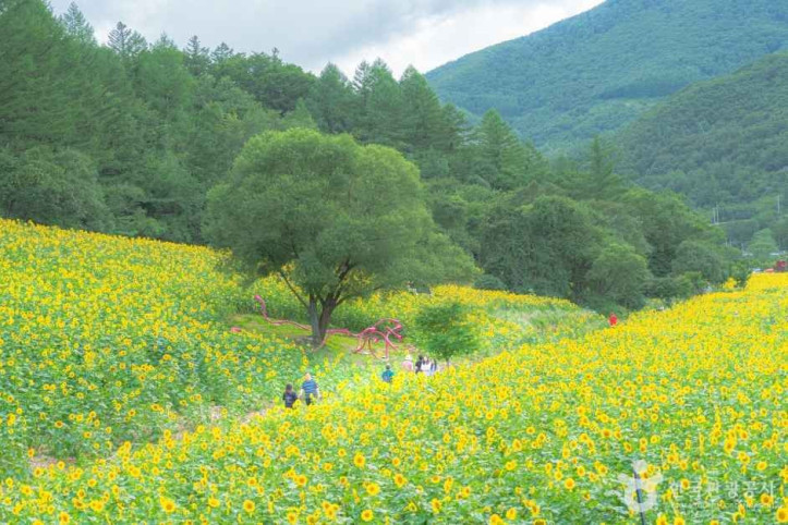 구와우마을 여행 추천 - 메고지고