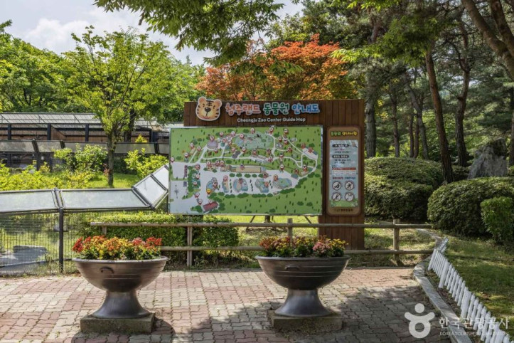 청주동물원 여행 추천 - 메고지고