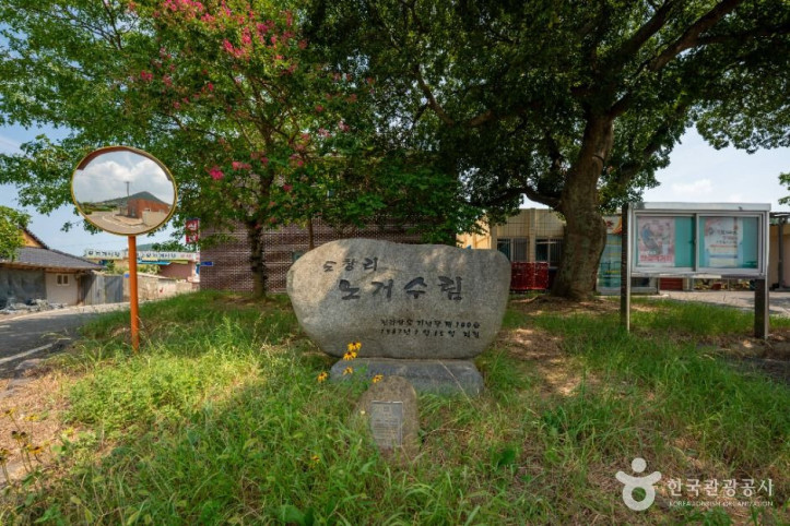 장산도 여행 추천 - 메고지고