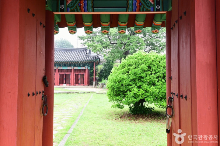 고소대 여행 추천 - 메고지고
