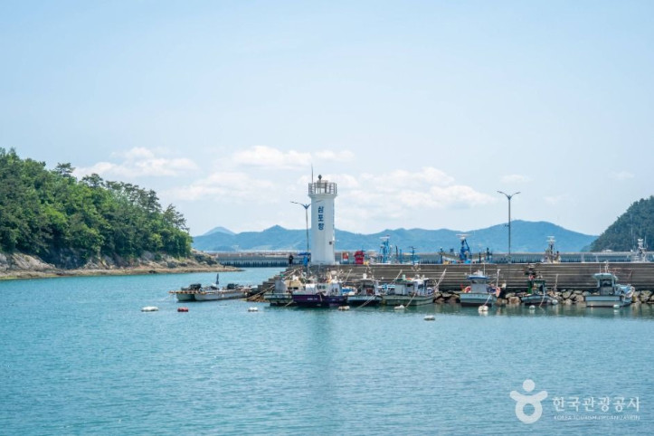삼포항 여행 추천 - 메고지고