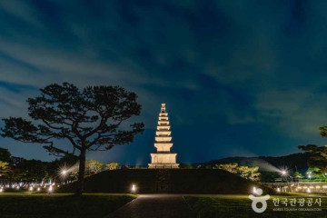 충주 탑평리 칠층석탑 여행 추천 - 메고지고