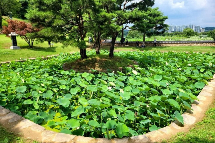 관곡지 여행 추천 - 메고지고