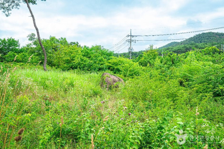 삼거동 고인돌 여행 추천 - 메고지고