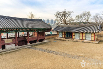 포항 흥해향교 이팝나무 군락 여행 추천 - 메고지고