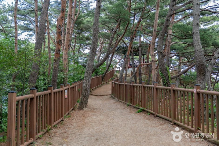 하조대 여행 추천 - 메고지고