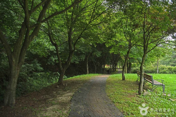 비룡담 저수지 여행 추천 - 메고지고