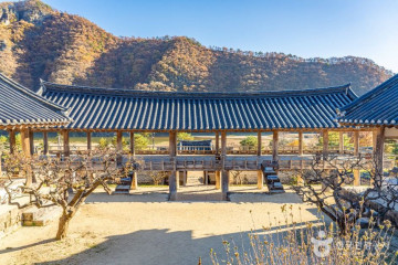 산수정 여행 추천 - 메고지고