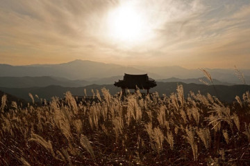 황매산 군립공원 여행 추천 - 메고지고