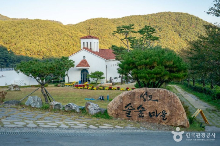 성모솔숲마을 여행 추천 - 메고지고