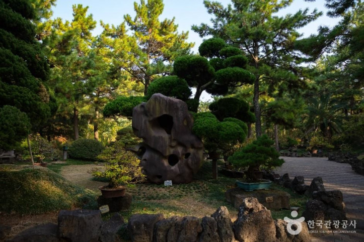 쌍용굴(한림공원) 여행 추천 - 메고지고