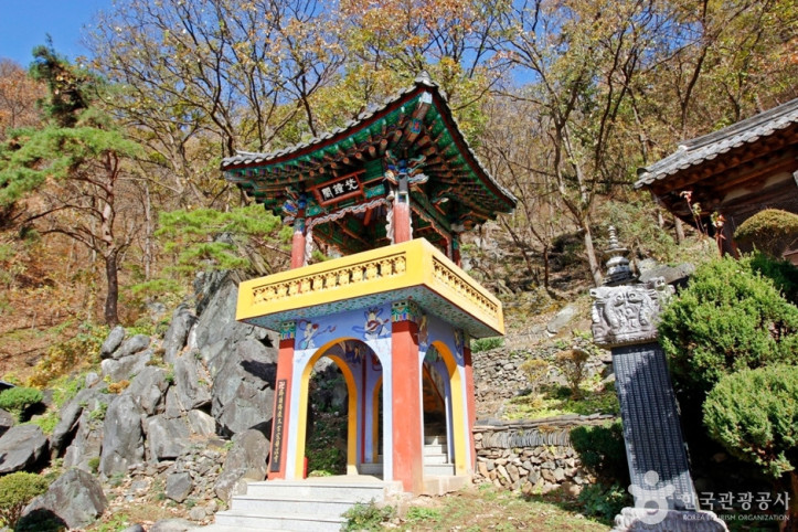 정심사(충주) 여행 추천 - 메고지고