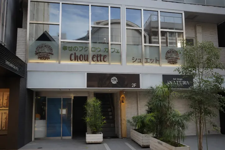 행복 올빼미 카페 chouette 여행 추천 - 메고지고