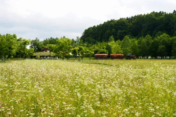 기린 맥주 홋카이도 지토세 공장 여행 추천 - 메고지고