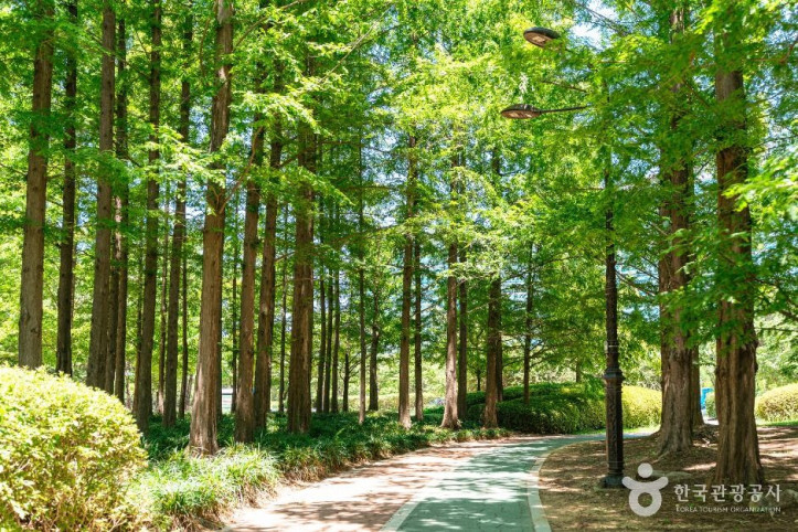 일산호수공원 여행 추천 - 메고지고