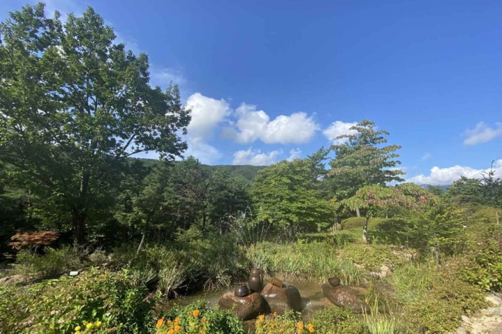 설악산 자생식물원 여행 추천 - 메고지고