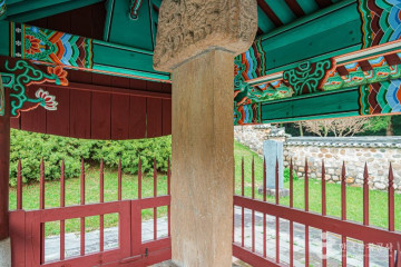 다보사(나주) 여행 추천 - 메고지고
