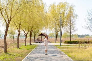 배곧생명공원 여행 추천 - 메고지고