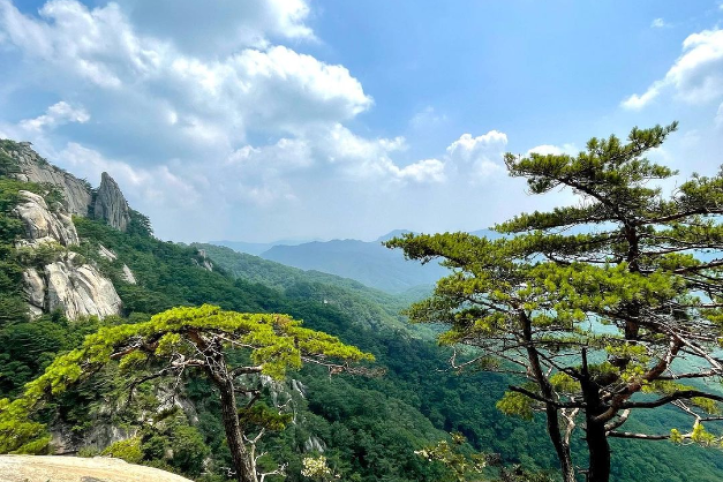 용화산 (강원평화지역 국가지질공원) 여행 추천 - 메고지고