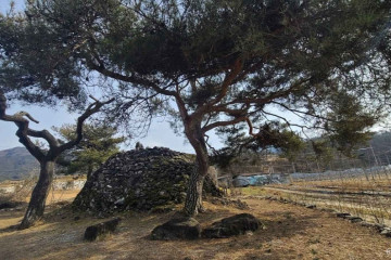 사과숲애 여행 추천 - 메고지고