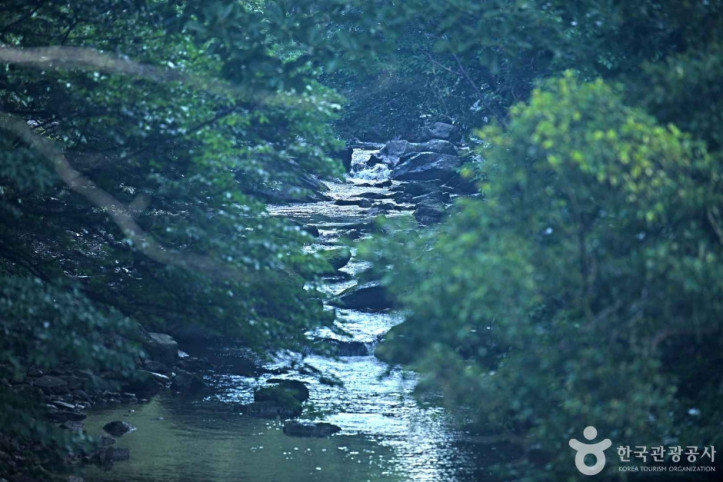 남창계곡 여행 추천 - 메고지고