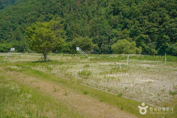 용두연유원지 여행 추천 - 메고지고