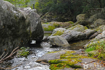 백덕산(평창) 여행 추천 - 메고지고