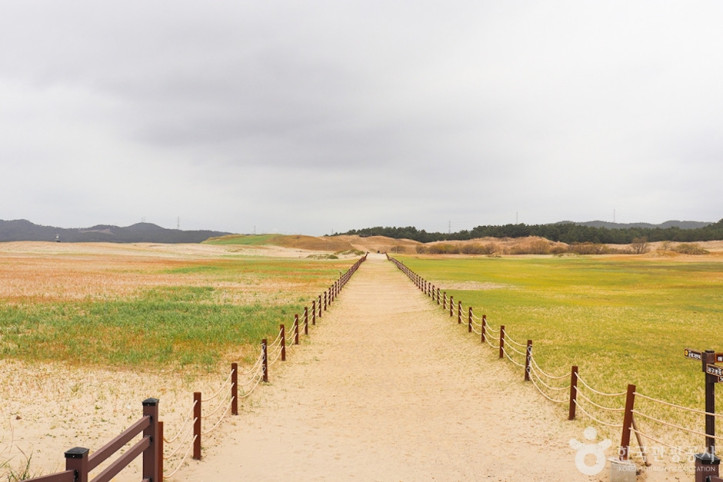 태안 신두리 해안사구 여행 추천 - 메고지고
