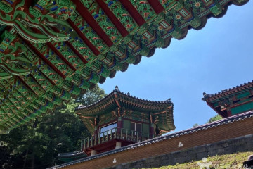 황장목숲길 여행 추천 - 메고지고