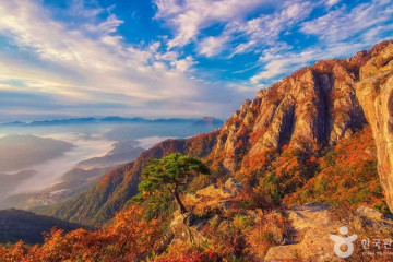 대둔산케이블카 여행 추천 - 메고지고