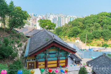 예지원 여행 추천 - 메고지고