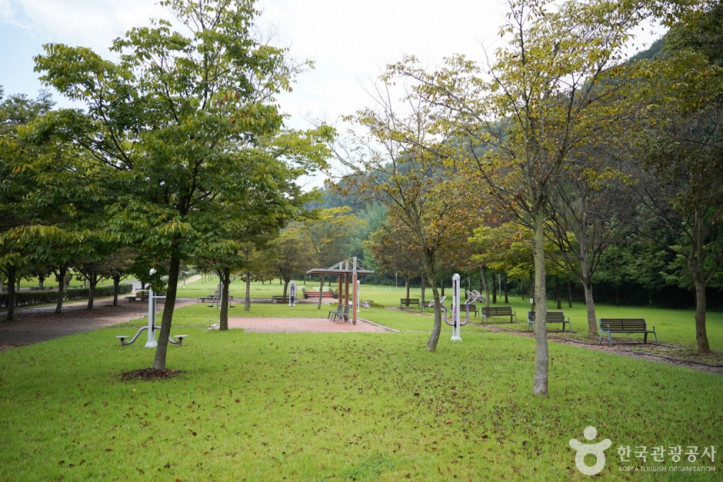 화랑체육공원 여행 추천 - 메고지고