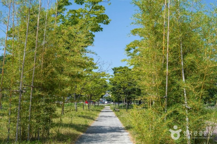 한천체육공원 여행 추천 - 메고지고