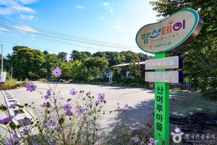 파주 산머루마을 여행 추천 - 메고지고