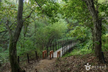 경국사(서울) 여행 추천 - 메고지고